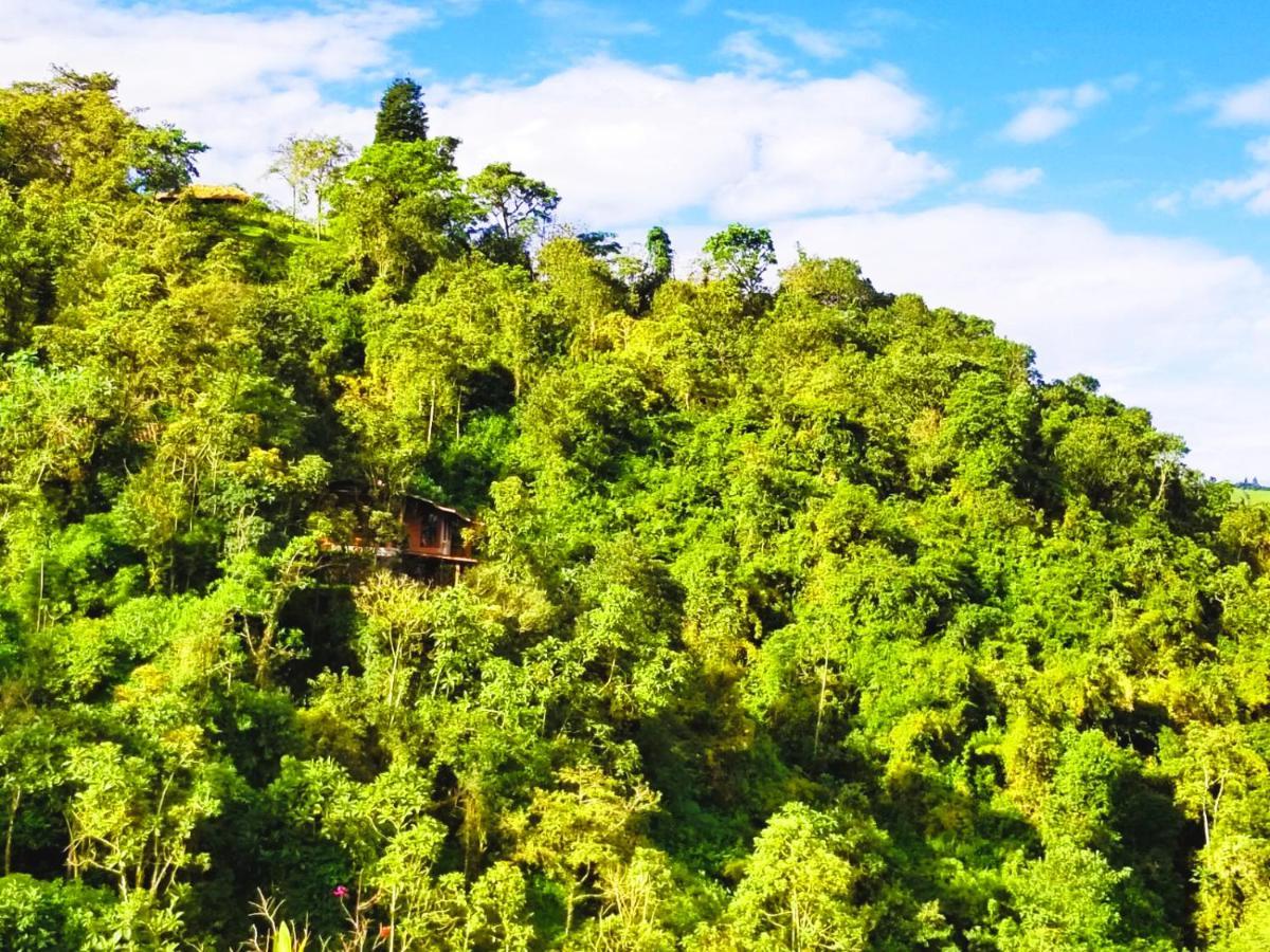 Finca Petrona Calacali Kültér fotó