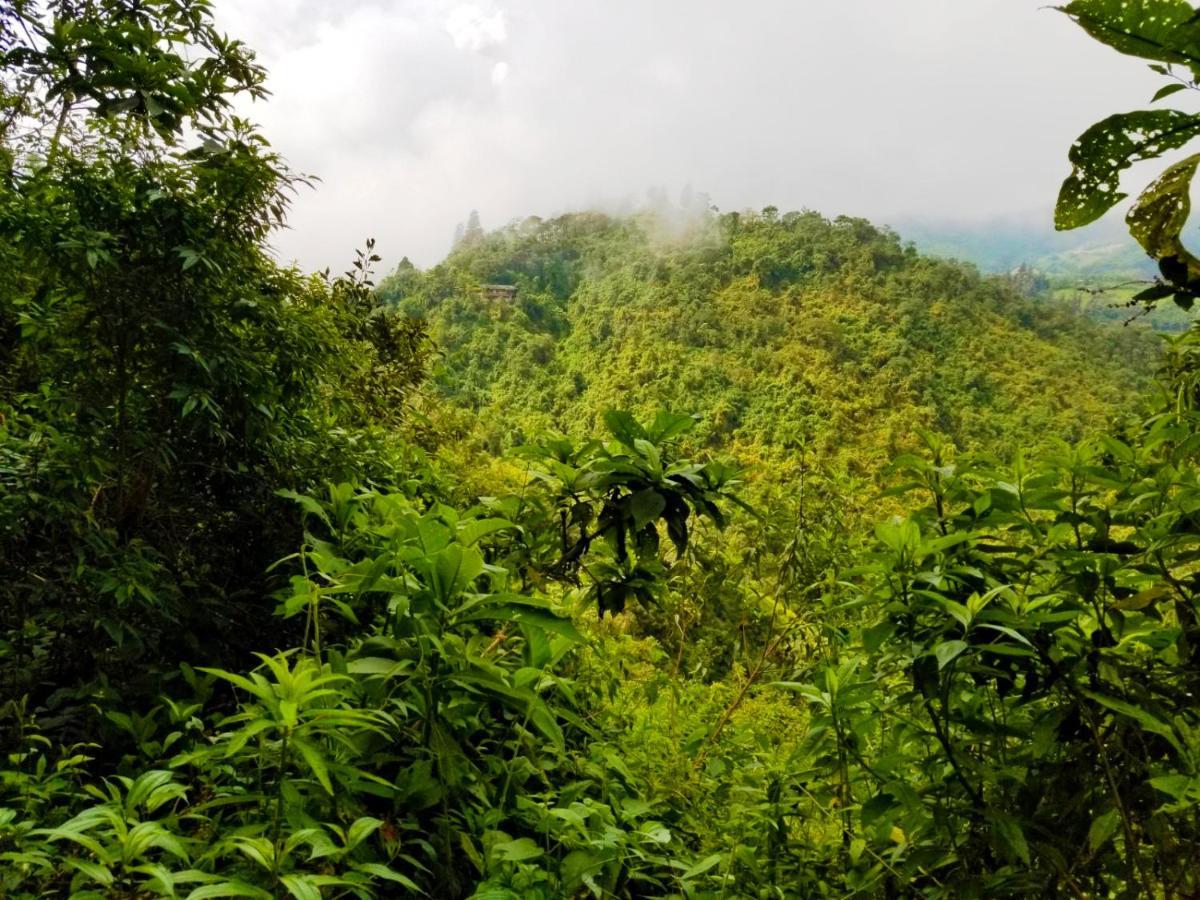 Finca Petrona Calacali Kültér fotó