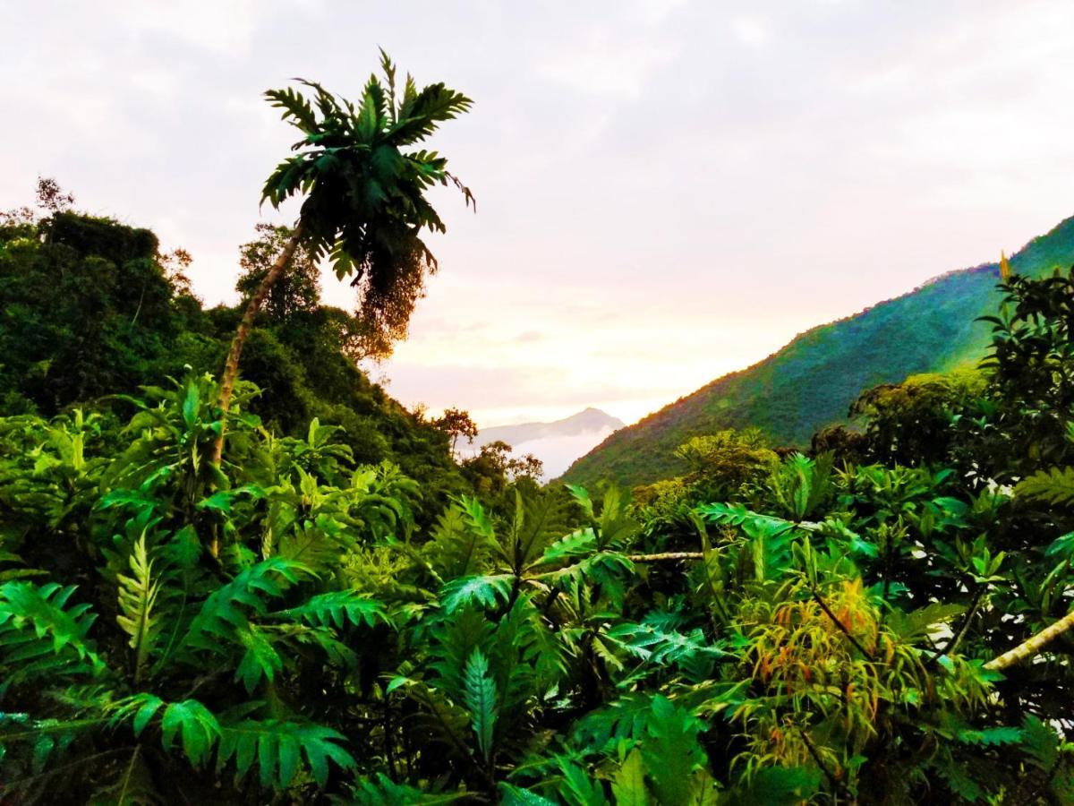 Finca Petrona Calacali Kültér fotó
