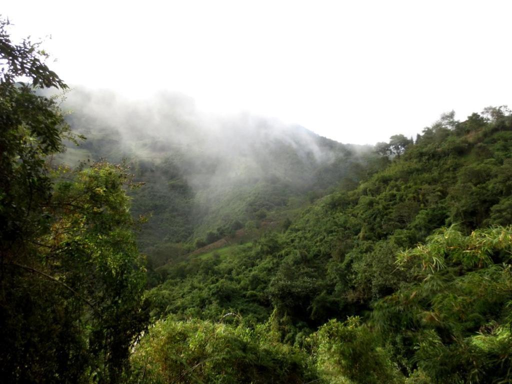 Finca Petrona Calacali Kültér fotó
