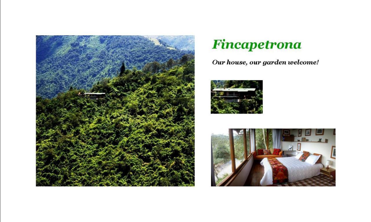 Finca Petrona Calacali Kültér fotó